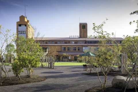 秋の西郷どんゆるゆるマラニック