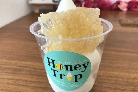 ［JoyRun☆さよなら特別企画］文京区の夕暮れとスイーツジョイラン