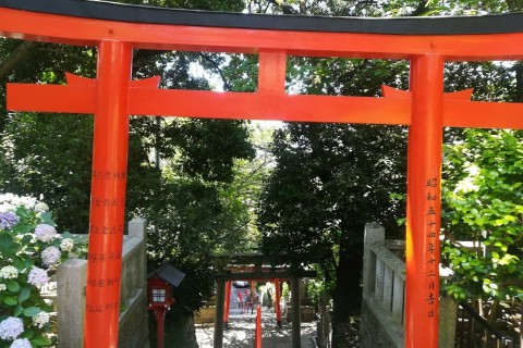 チャレンジ諏訪山神社ゲキサカダッシュトリプル２