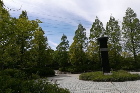 神戸森林植物園クロスカントリー駅伝