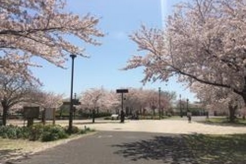 第２回　大島小松川公園＆荒川エコ・ジャーニーマラソン