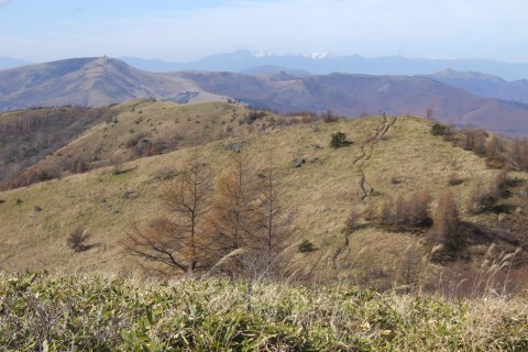 八ヶ岳山麓スーパートレイルラン