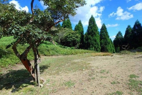 ≪ワンデルング≫［京都］地形がわかる！迷わない！しっかりマスター地図読み術（北山編）【初・中級】