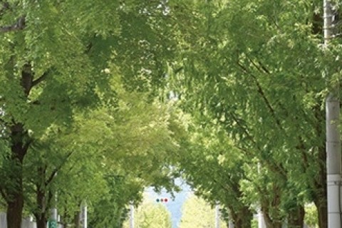 まちたびランニングクリニック