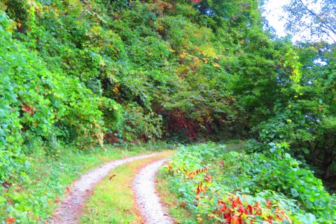 再第2回山寺蔵王ウルトラマラソン