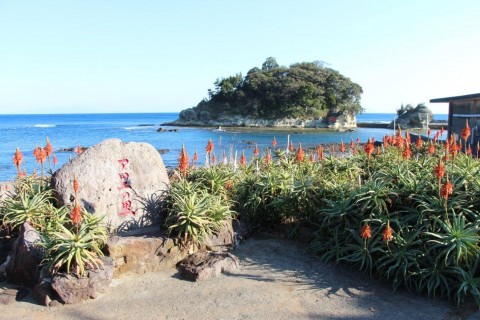 【2026】伊豆早春フラワーウォーキング　第28回下田水仙ツーデーマーチ