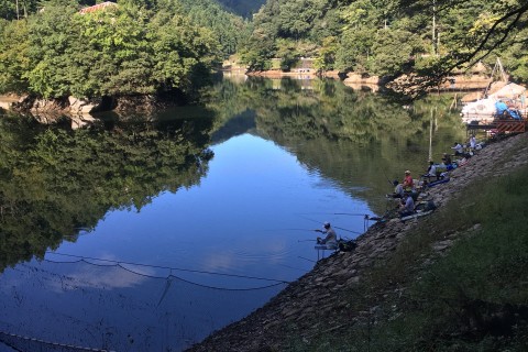 「１１月度自然流ランニング大学」の募集（秋の自然走 トレイルランニング入門)