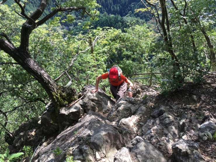 山頂に現れるロックセクションも