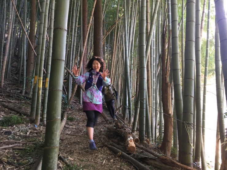 竹林を下るポイントも