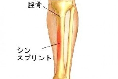 【金沢市開催】ランニングで足首・足裏・ふくらはぎが不調になる理由と根本解決方法