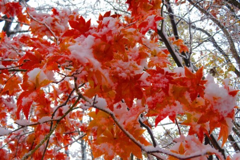 YAMADERA TERA ロゲ 3時間