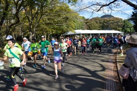 第10回　お茶香る 狭山茶マラソン