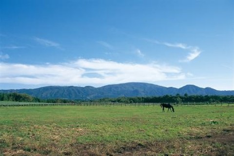 第28回はしかみつつじマラソン大会