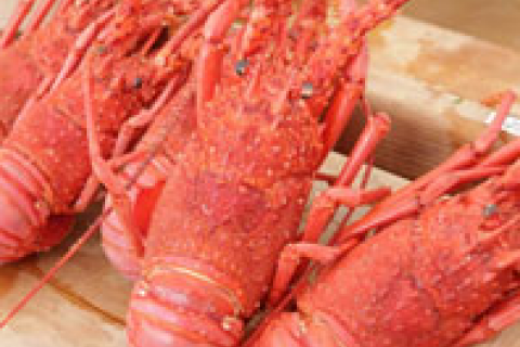 志摩ロードパーティ～ごちそうウォーク～