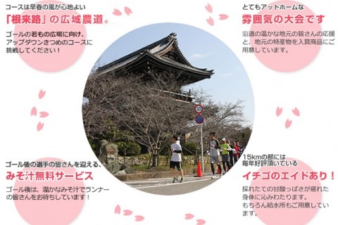 岩出マラソン大会