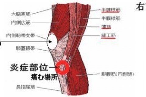 【5月限定】不調や痛みの予防改善・根本解決コンディショニング