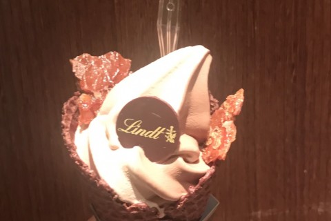 第3回淀川チョコマラソンbyエコマラソン