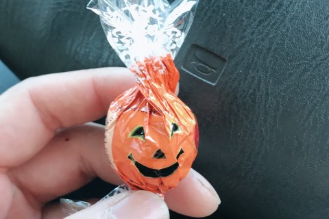 第3回淀川チョコマラソンbyエコマラソン