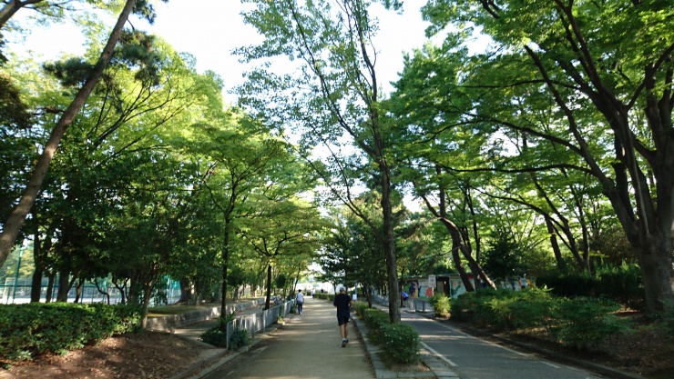 名城公園ジョギングコース