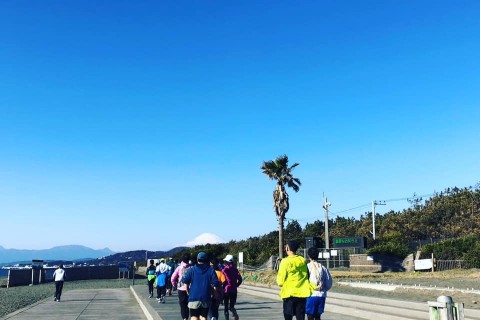 湘南満喫180分LSD走