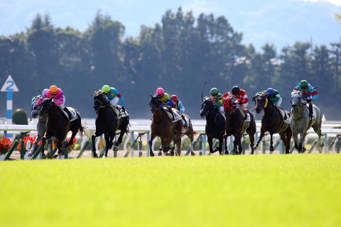 KYOTO競馬RUN　２０１９