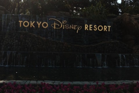 霞ヶ浦マラソン前　ディズニーラン34キロ（ペース目安：キロ7分）