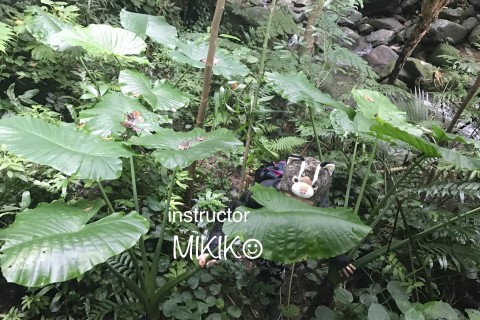 冬でもほっこり 温めYOGA（ ヨガレッスン ＋ お土産）〜winter blue予防〜