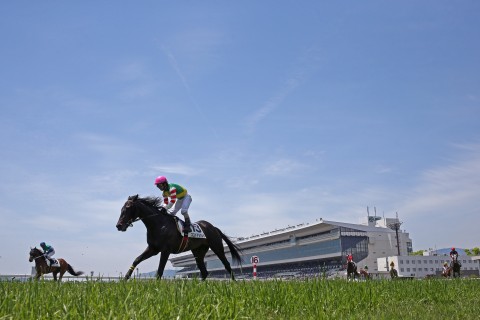 KYOTO競馬RUN　２０１９