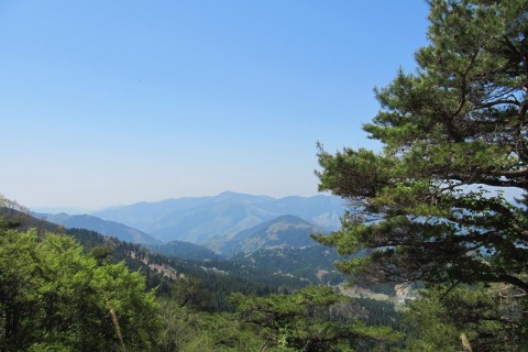 兵庫 波賀トレイル DOUBLE ATTACK 春