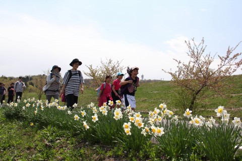 第35回信濃川河岸段丘ウォーク