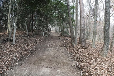 KAKITSU2022 ～播磨の国の山城跡を巡るトレイルラン～