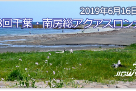 第8回千葉南房総アクアスロン大会