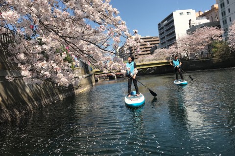 大岡川お花見SUPツアー 3/30,3/31