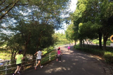 ランニングハイin播磨中央公園REVIVAL