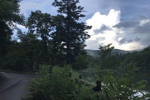 広島県　第8回　IDATENチャレンジ　春のもみのき森林公園マラソン