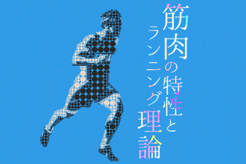 ランニングセミナー「筋肉の特性とランニング理論」