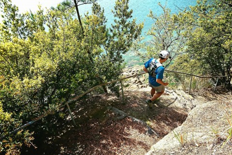 瀬戸内Dayout 蔦島トレイルランニングレース2019
