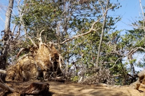 シャカポン スマートファンラン 約19km 早春編（美人の湯 祥風苑 入浴券付き）