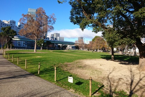 ランニングフォーム講座