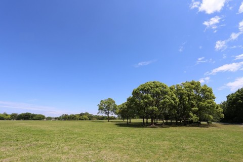 「19年5月度自然流ランニング大学（トロプスとしての鬼ごっこ）」の募集