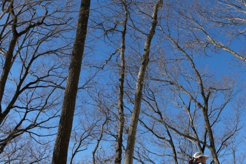 展望抜群の陣馬山へ！本格トレイルデビューにも最適です／初級者向けトレイルランニングツアー（神奈川県）