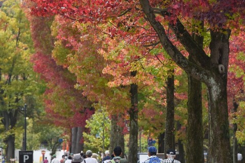 歴史と自然が感じられる「秋の金沢」を歩こう！金沢ウォーク2019