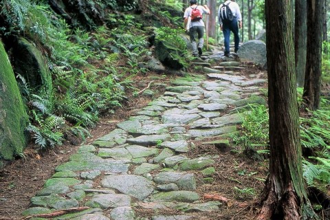 第16回　おわせ海・山ツーデーウォーク