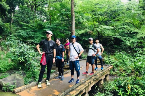 駒沢ピッグスメンバー募集