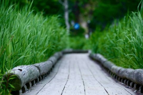 奥日光湯元～戦場ヶ原周辺☆トレイルゆるラン(*´ω｀*)♪