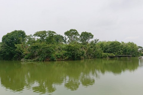 第2回 大阪ウオーク2019　～世界遺産・百舌鳥古墳群を歩く～