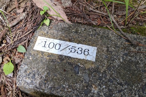 ROSE-KOSHIKI TRAIL 第0回