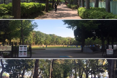 Ｔ-ＨＲＣ８月度定期練習会 supported by WINZONE