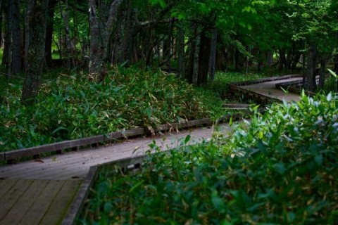 奥日光湯元～戦場ヶ原周辺☆トレイルゆるラン(*´ω｀*)♪