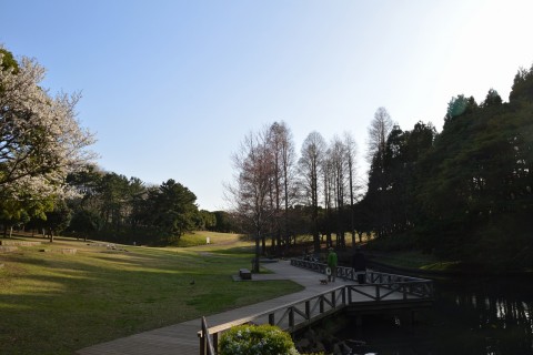 第３回　横浜スマイルマラソン＆ウォーク